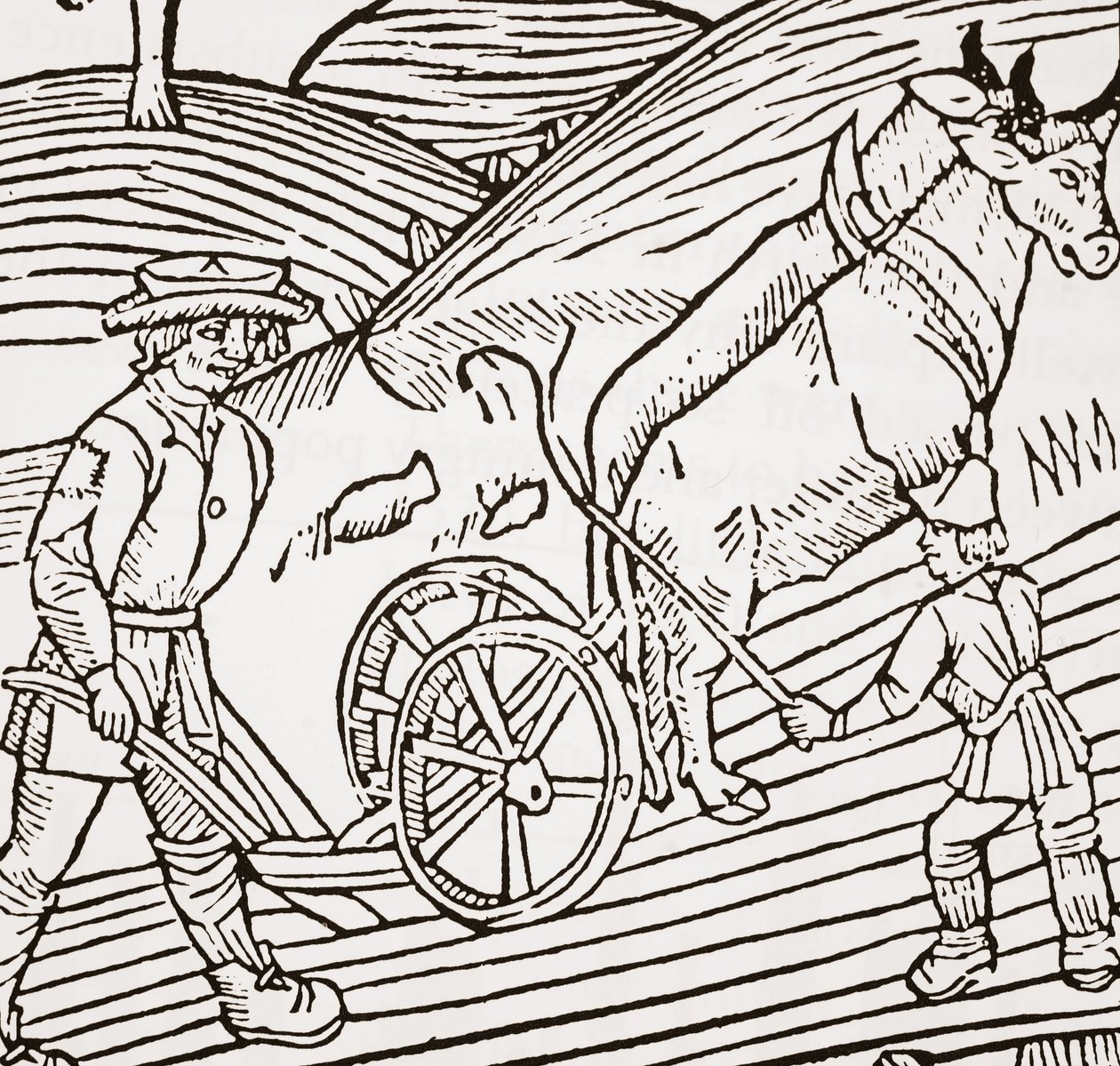 Et par okser bundet til en plov, titelblad fra John Fitzherberts Boke of Husbandry, første pub. 1523 af English School