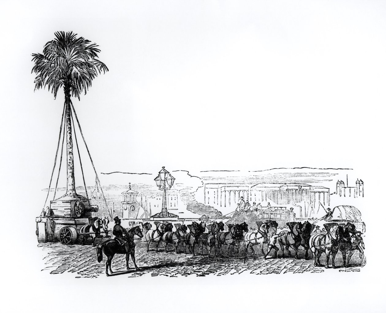 Et palmetræ bliver transporteret til Hyde Park til Great Exhibition, London, 1851 af English School