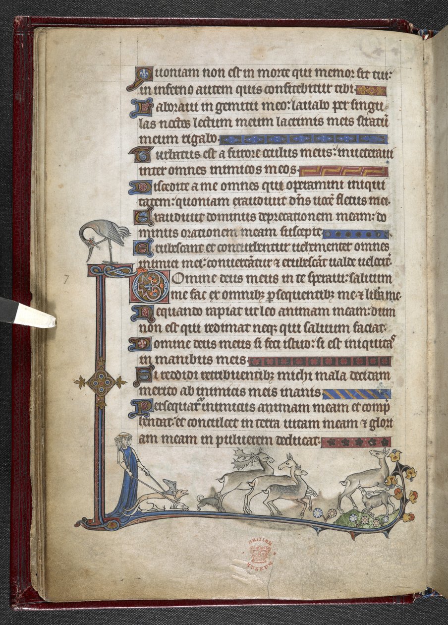 Tilføj MS 24686, f.13v Salme med marginal forlængelse, der danner delvis kant, c.1284-1316 (vellum) af English School