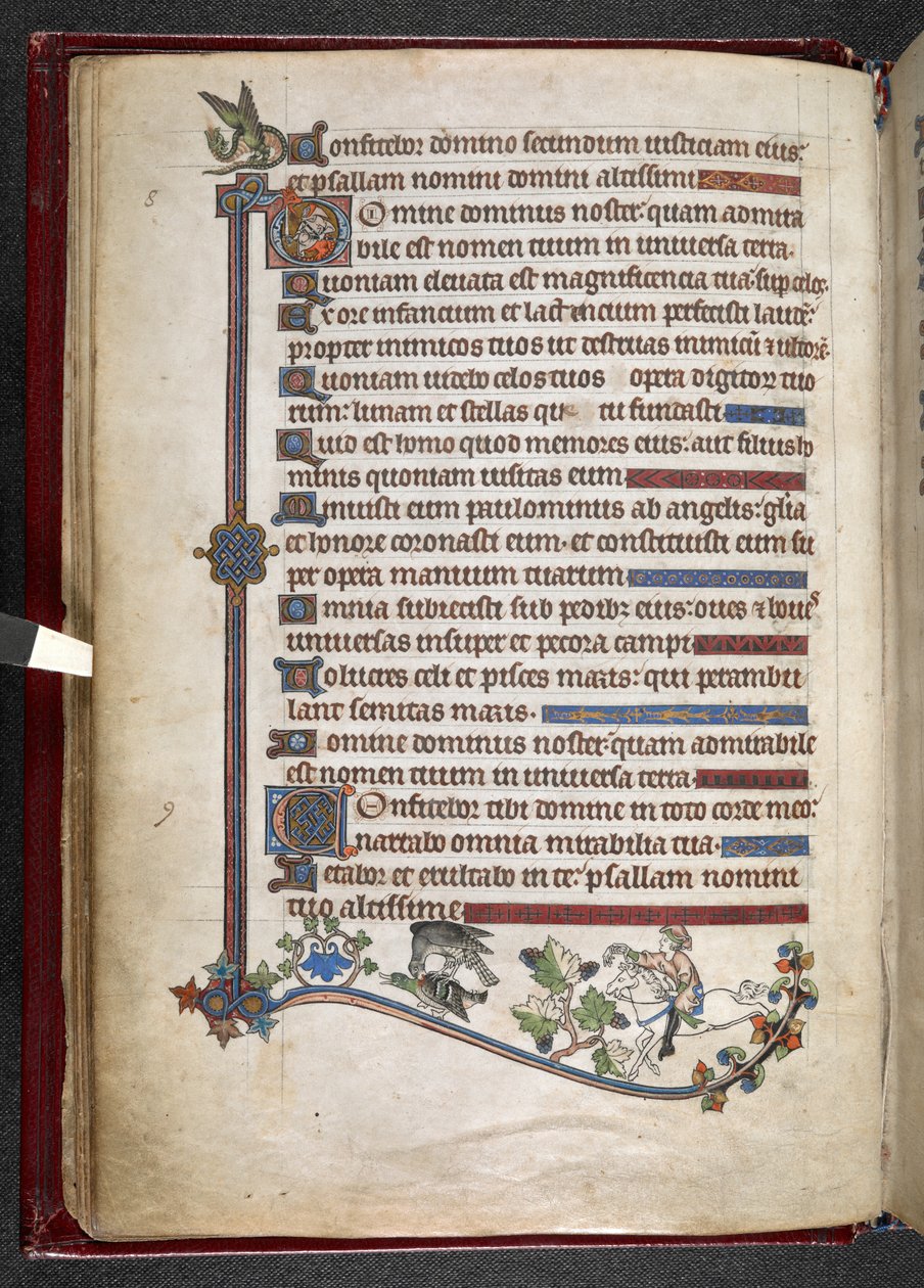 Tilføj MS 24686, f.14v, Dreng på pony med falkejagtand, ca. 1284-1316 (vellum) af English School