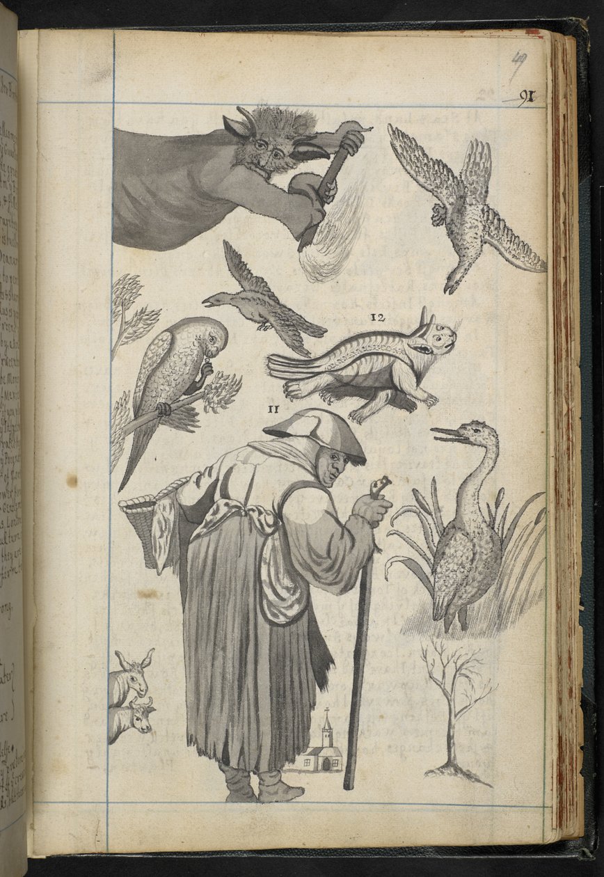 Tilføj MS 32496 f.49r Illustration fra 