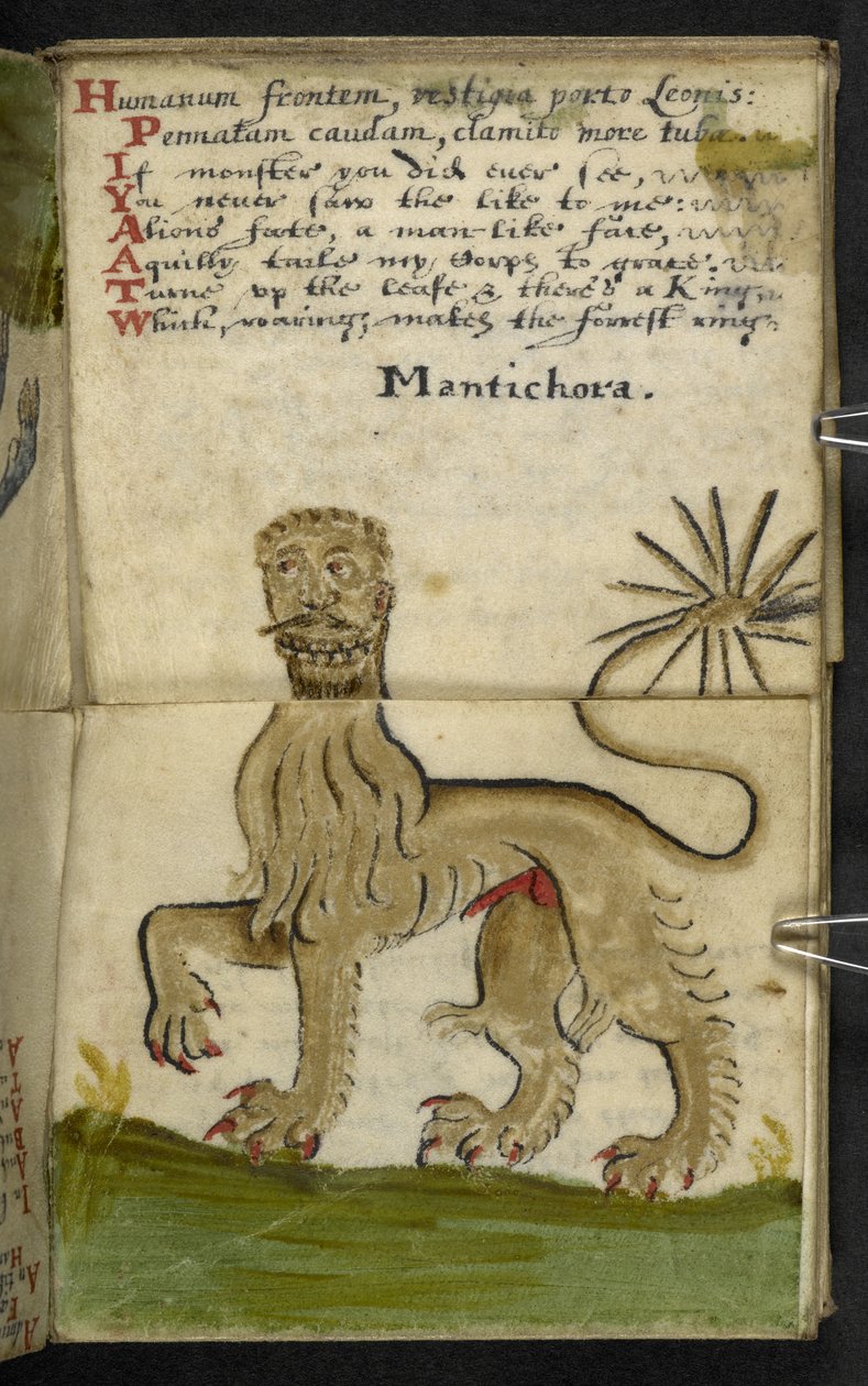 Tilføj MS 57312 f11 spilbog (blæk og farve på pergament) af English School