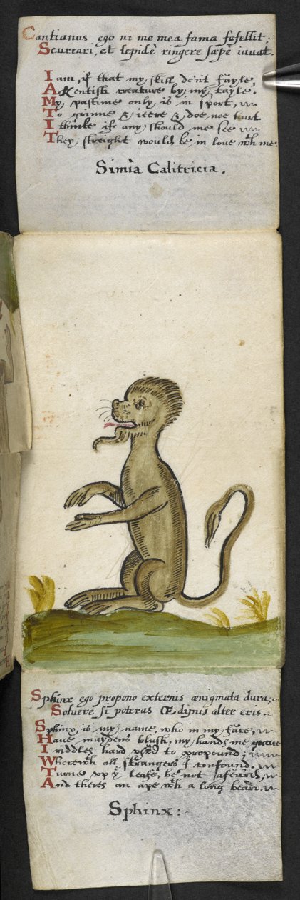 Tilføj MS 57312 f.14 spilbog (blæk og farve på pergament) af English School