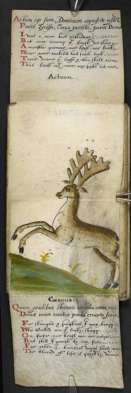 Tilføj MS 57312 f.15 spilbog (blæk og farve på pergament) af English School