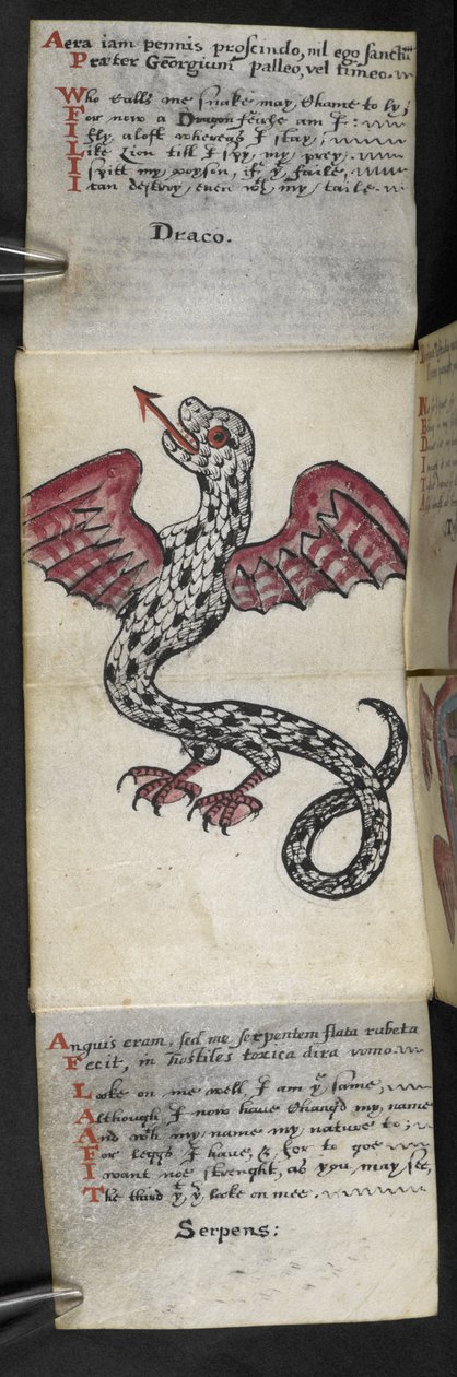 Tilføj MS 57312 f.3 spilbog (blæk og farve på pergament) af English School