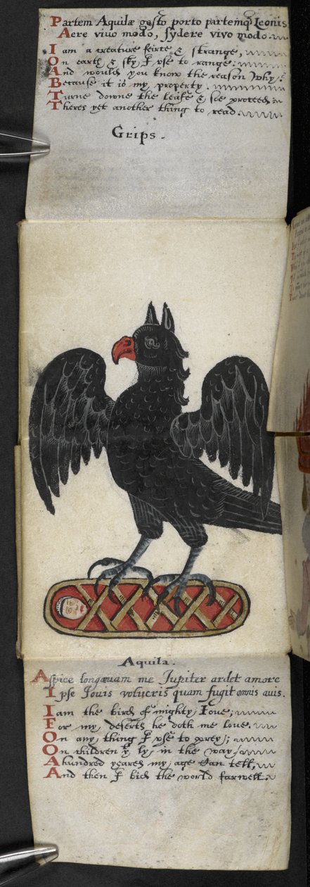 Tilføj MS 57312 f.8 spilbog (blæk og farve på pergament) af English School