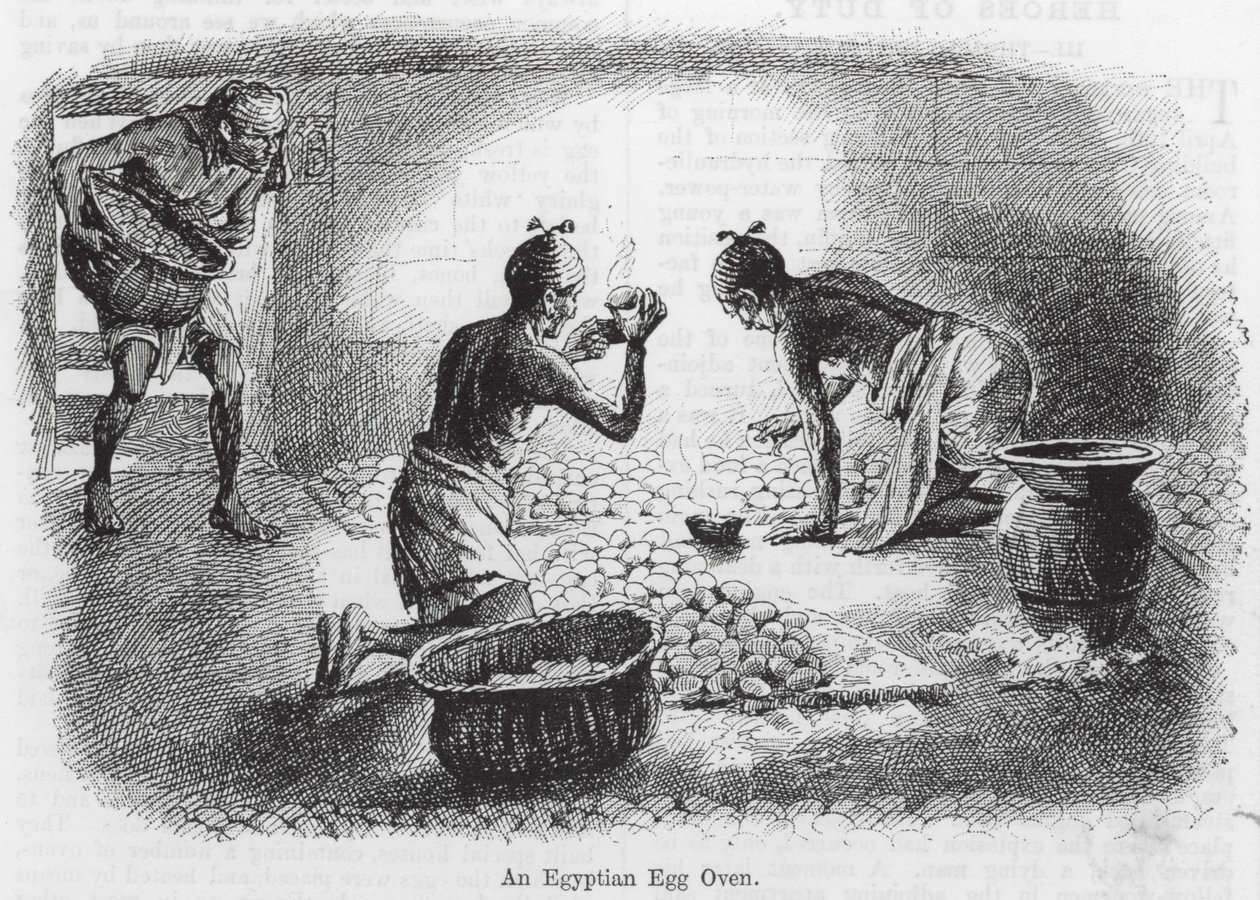 En egyptisk æggeovn (gravering) af English School
