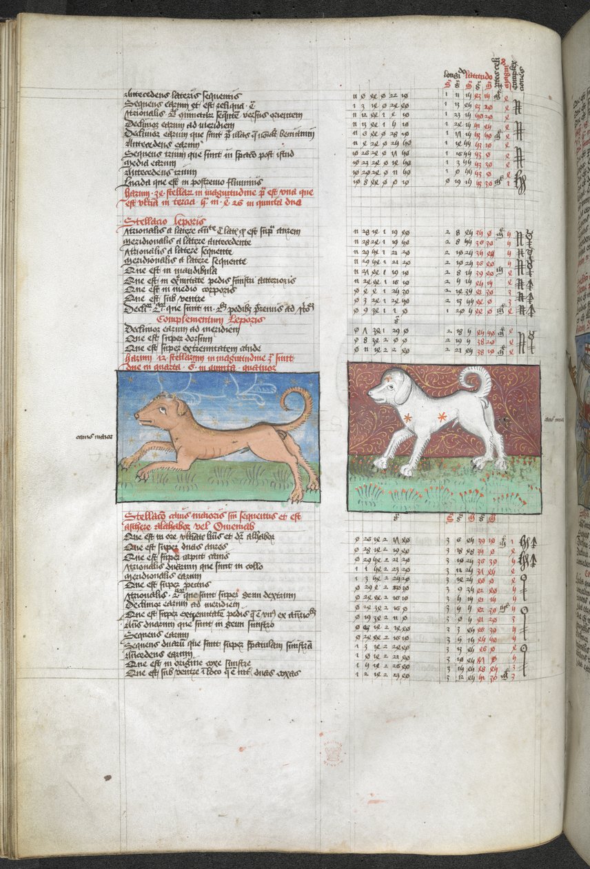 Arundel MS 66 f.44v Canis maior og Canis minor afbildet som hunde 