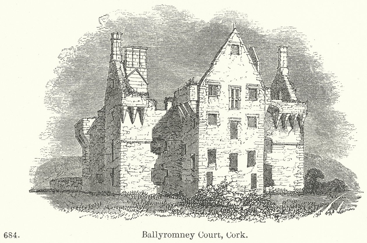 Ballyromney Court, Cork (gravering) af English School