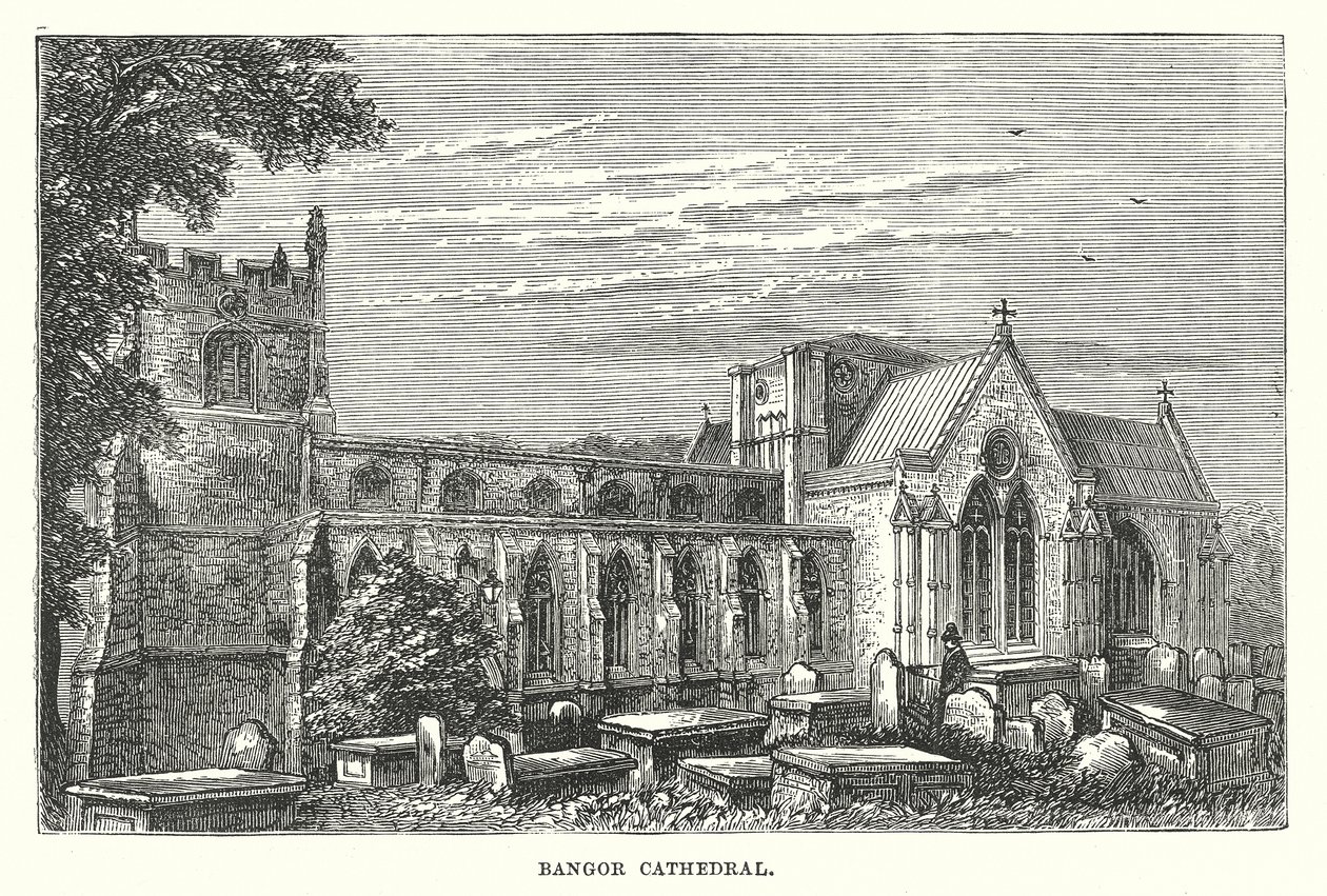 Bangor Katedral (gravering) af English School