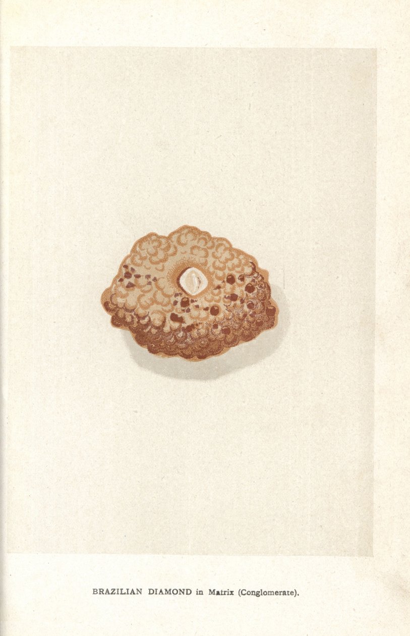Brasiliansk diamant i matrix (konglomerat), fra Edwin Streeters "Precious Stones and Gems," London, George Bell & Sons af English School