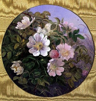 Briar Roses, ca. 1890 (akvarel på papir) af English School