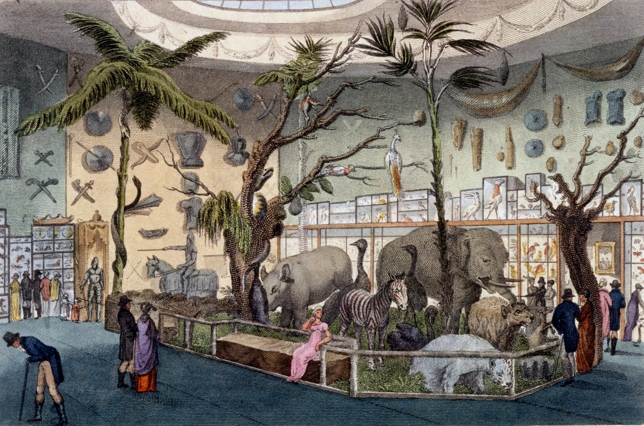Bullocks Museum, 22 Piccadilly, London, fra Ackermanns Repository of Arts, 1809 af English School