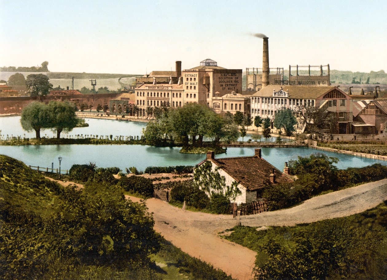 Burroughs, Wellcome & Company Factory, Dartford (håndfarvet foto) af English School