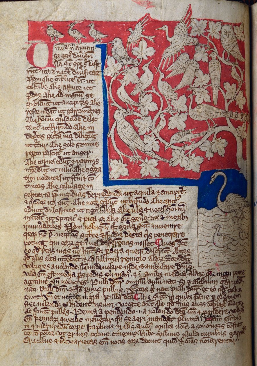 CCA-LitMs/D/10 fol. 12v Fugle, fra Bestiary af English School