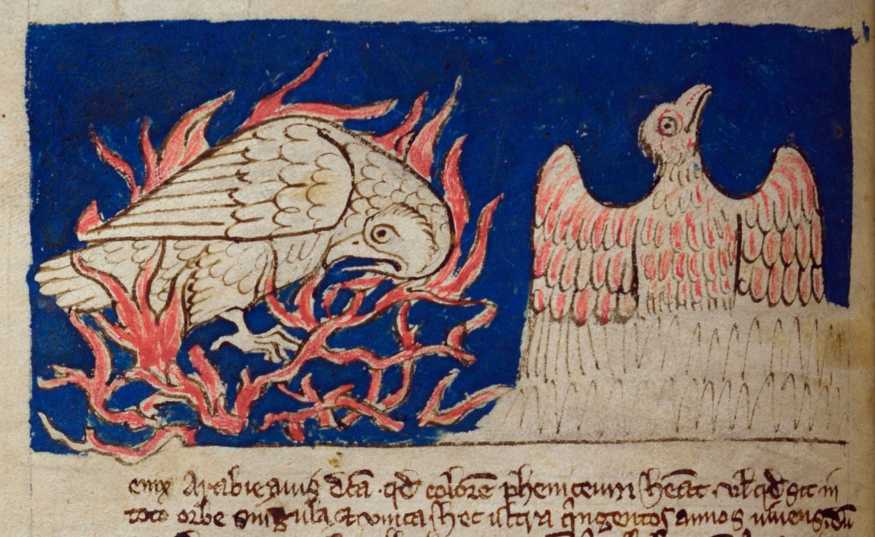 CCA-LitMs/D/10 fol. 17v Pheonix, fra Bestiary af English School