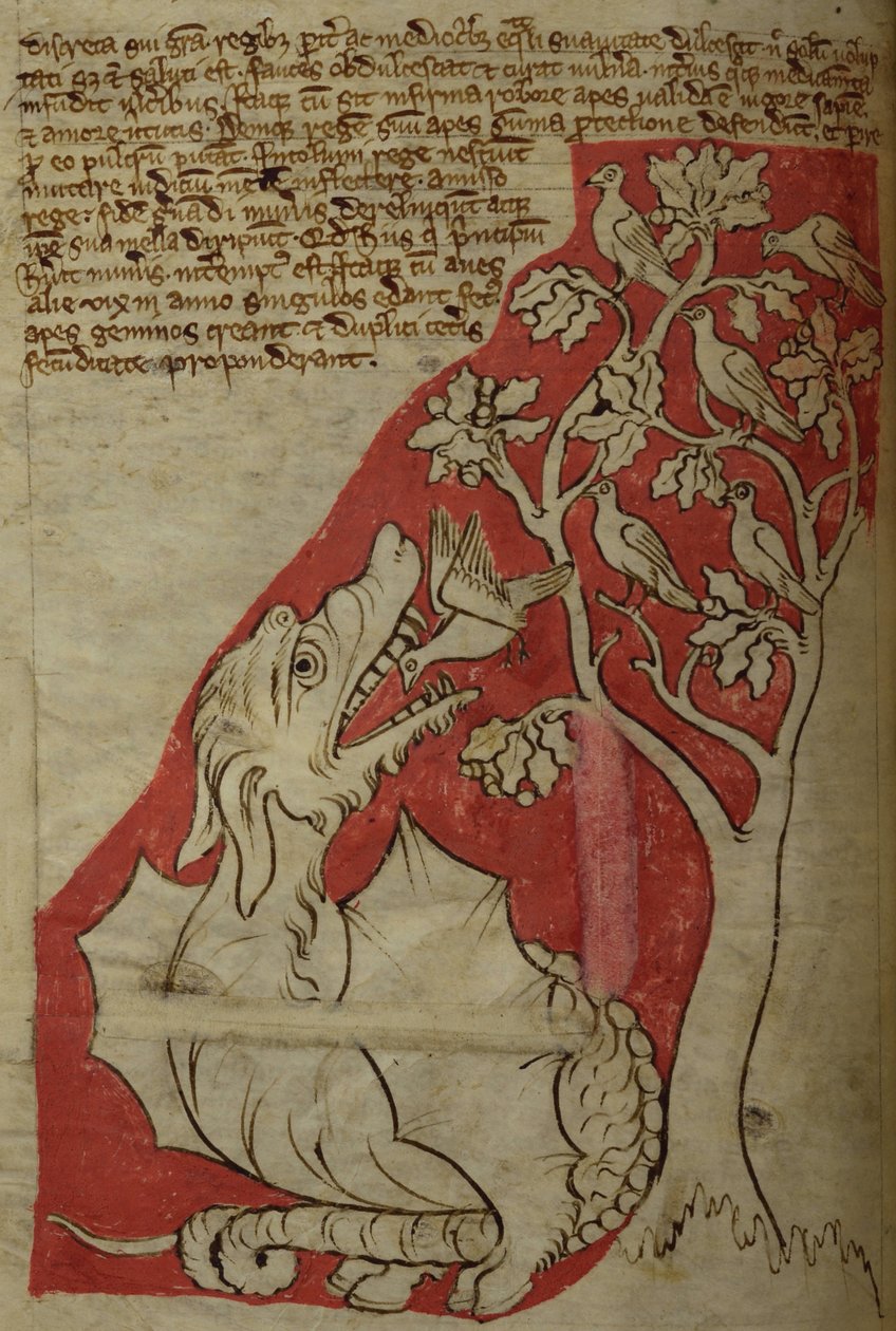 CCA-LitMs/D/10 fol. 23v Perindenstræet, fra Bestiary af English School