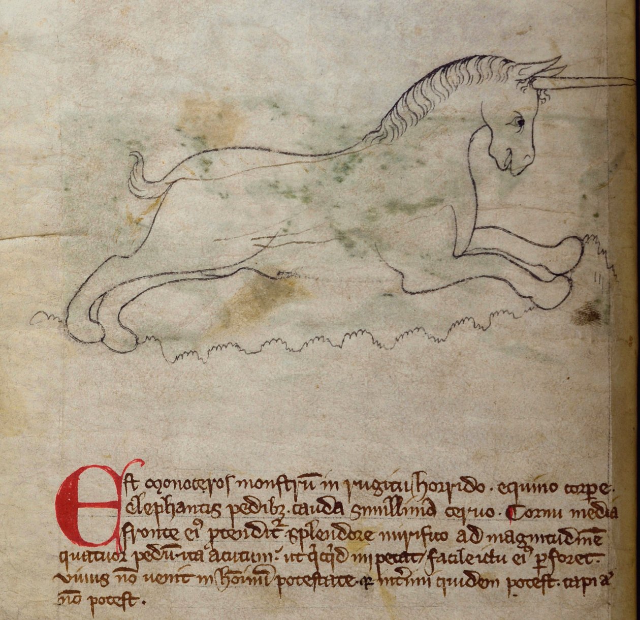 CCA-LitMs / D / 10 fol. 2v Monoceros, from Bestiarydani af English School