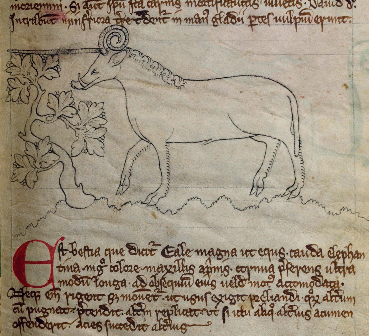 CCA-LitMs/D/10 fol. 4r Yale, fra Bestiary af English School