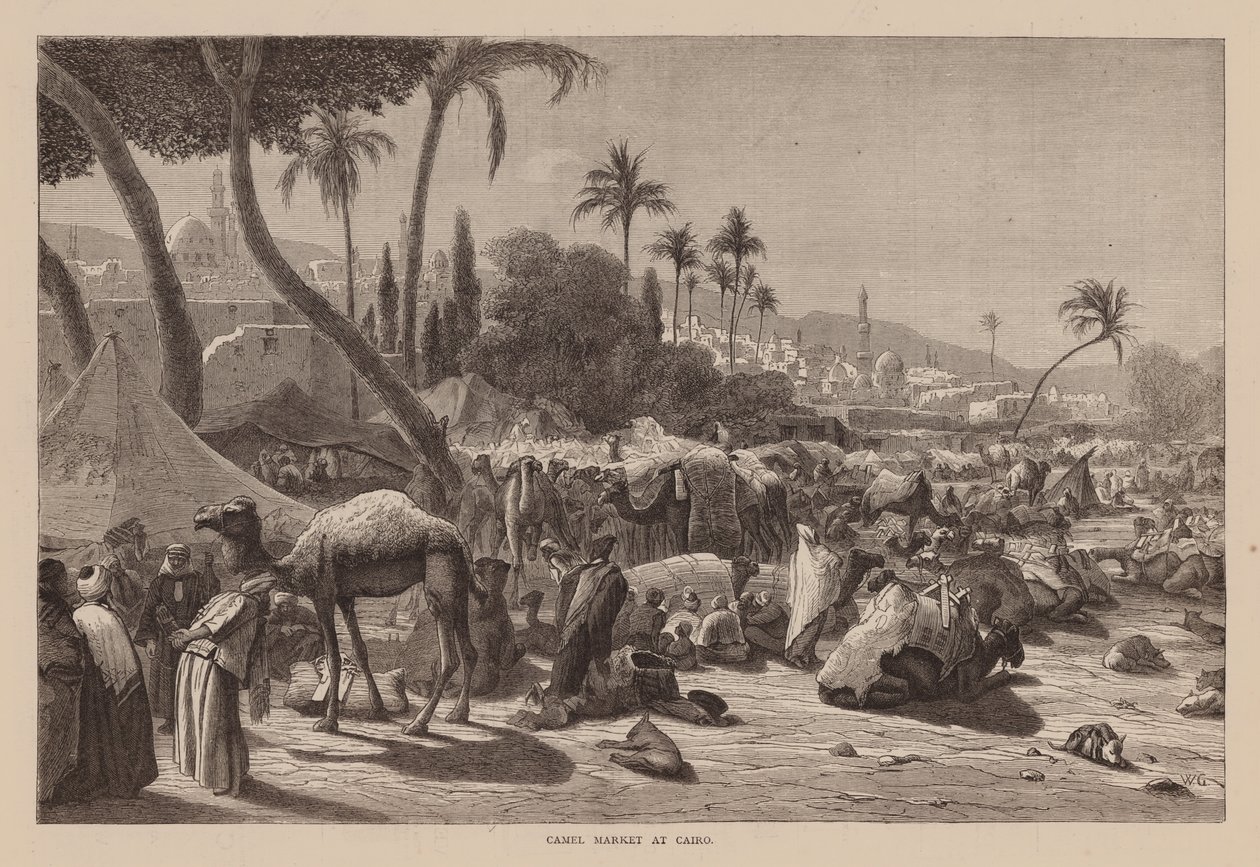 Kamelmarked i Cairo (gravering) af English School