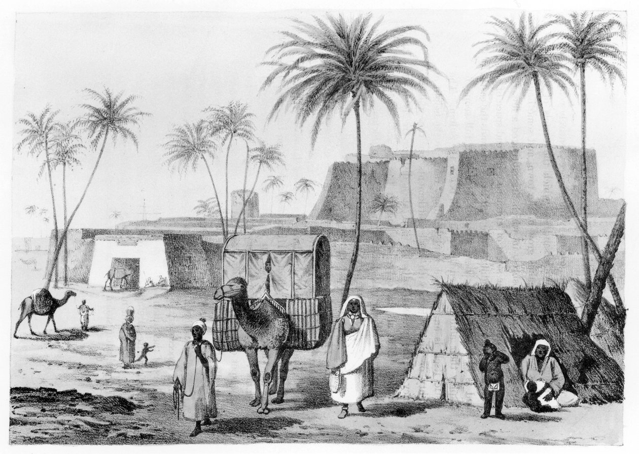 Kamelstrøelse ved Morzouk i Fezzan, Libyen, fra Narrative of Travels in Northern Africa af G.F. Lyon, udgivet 1821 af English School