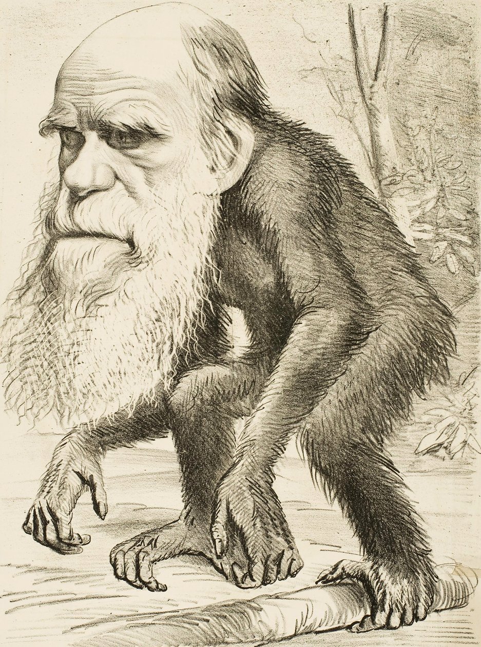 Karikatur af Charles Darwin af English School