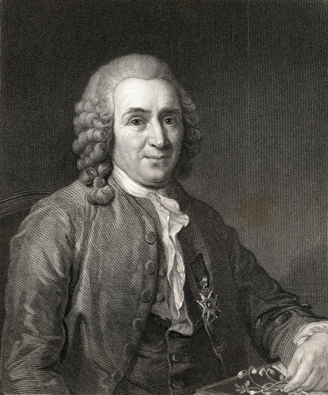 Carl von Linne eller Linnaeus (1707-78) fra Gallery of Portraits, udgivet i 1833 af English School