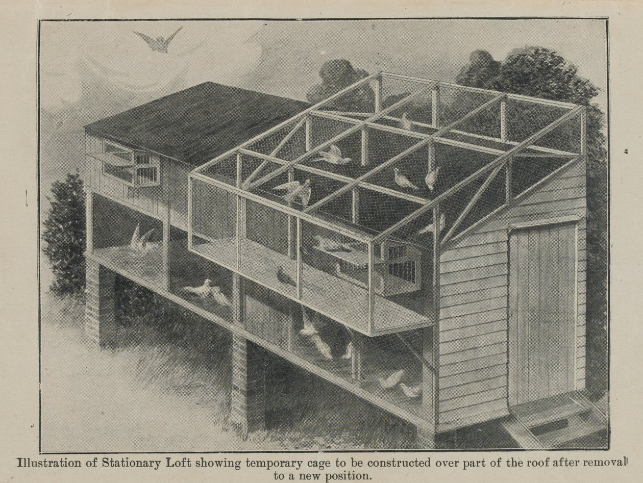 Brevduer i krig, marts 1918 af English School