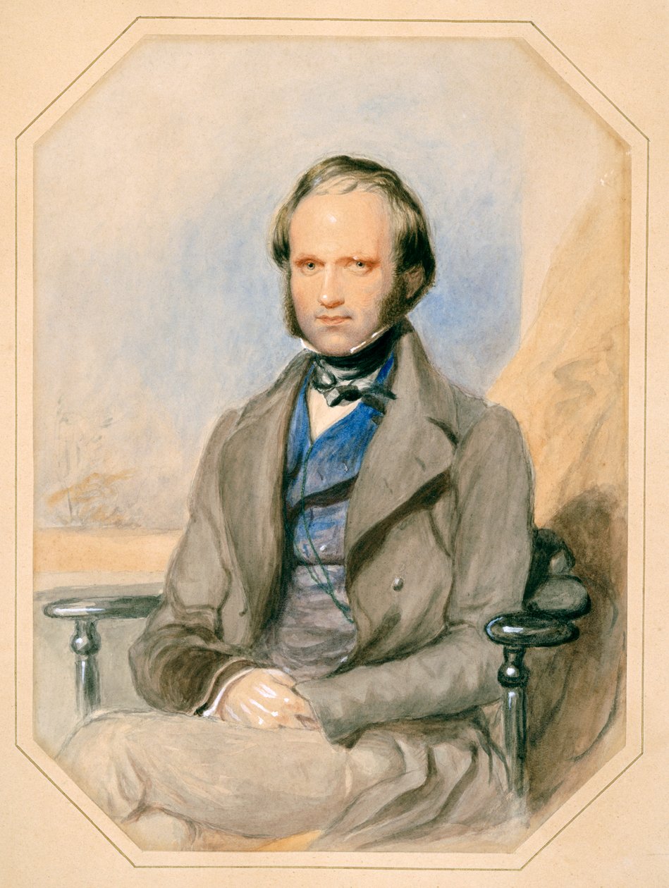 Charles Darwin (akvarel på papir) af English School