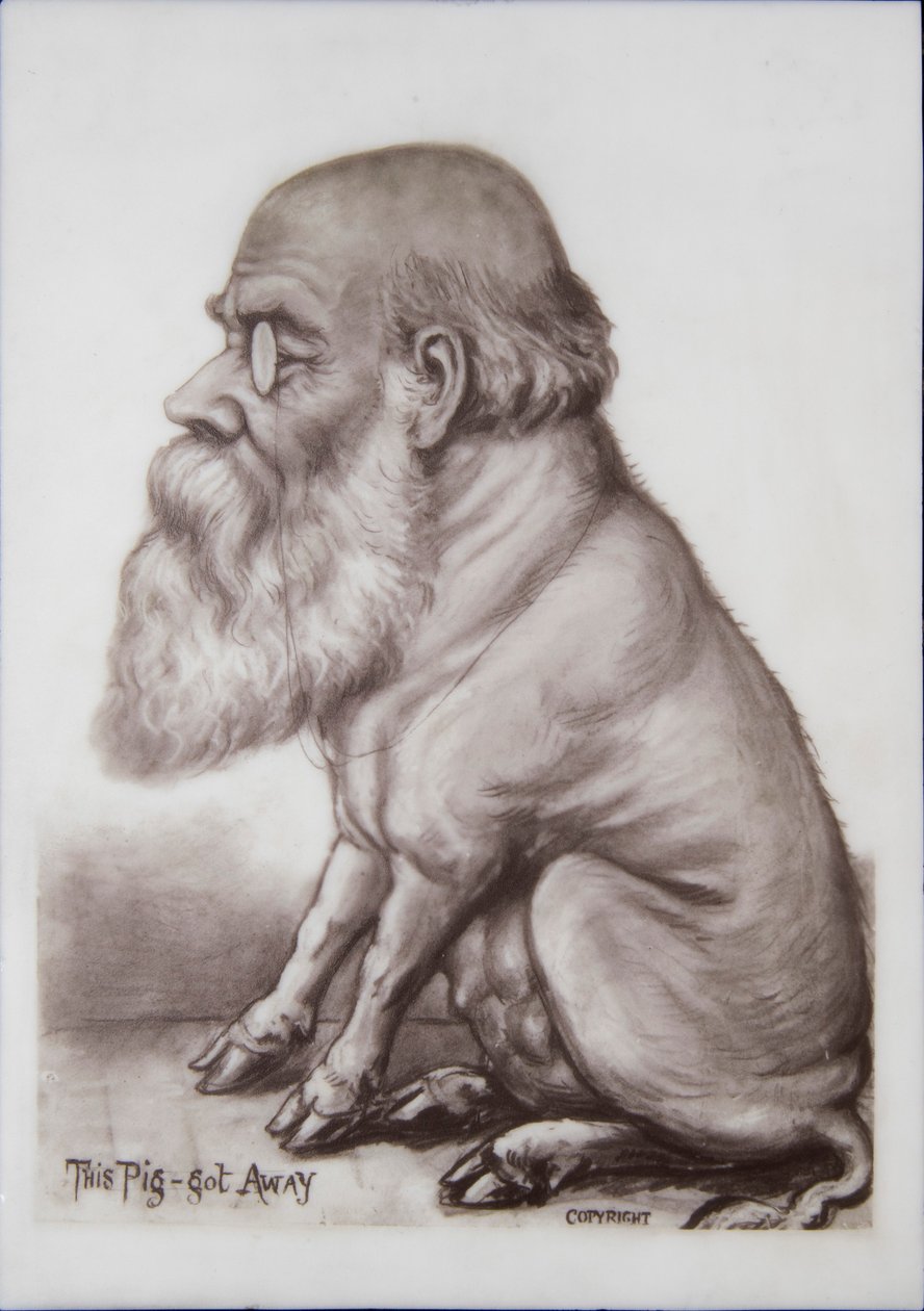 Charles Darwin-plakette, ca. 1870 (keramik) af English School