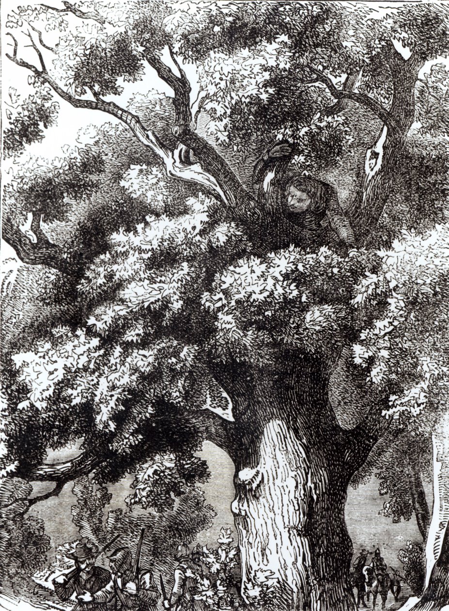 Charles II (1630-85) Hidden in the Oak Tree, 14. oktober 1651 af English School