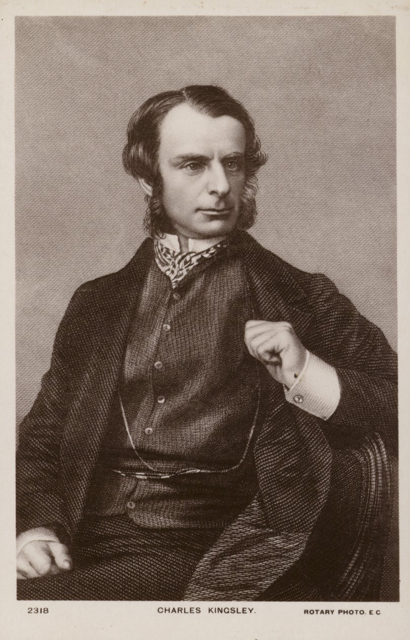 Charles Kingsley (1819-1875), engelsk præst, historiker og romanforfatter (litografi) af English School