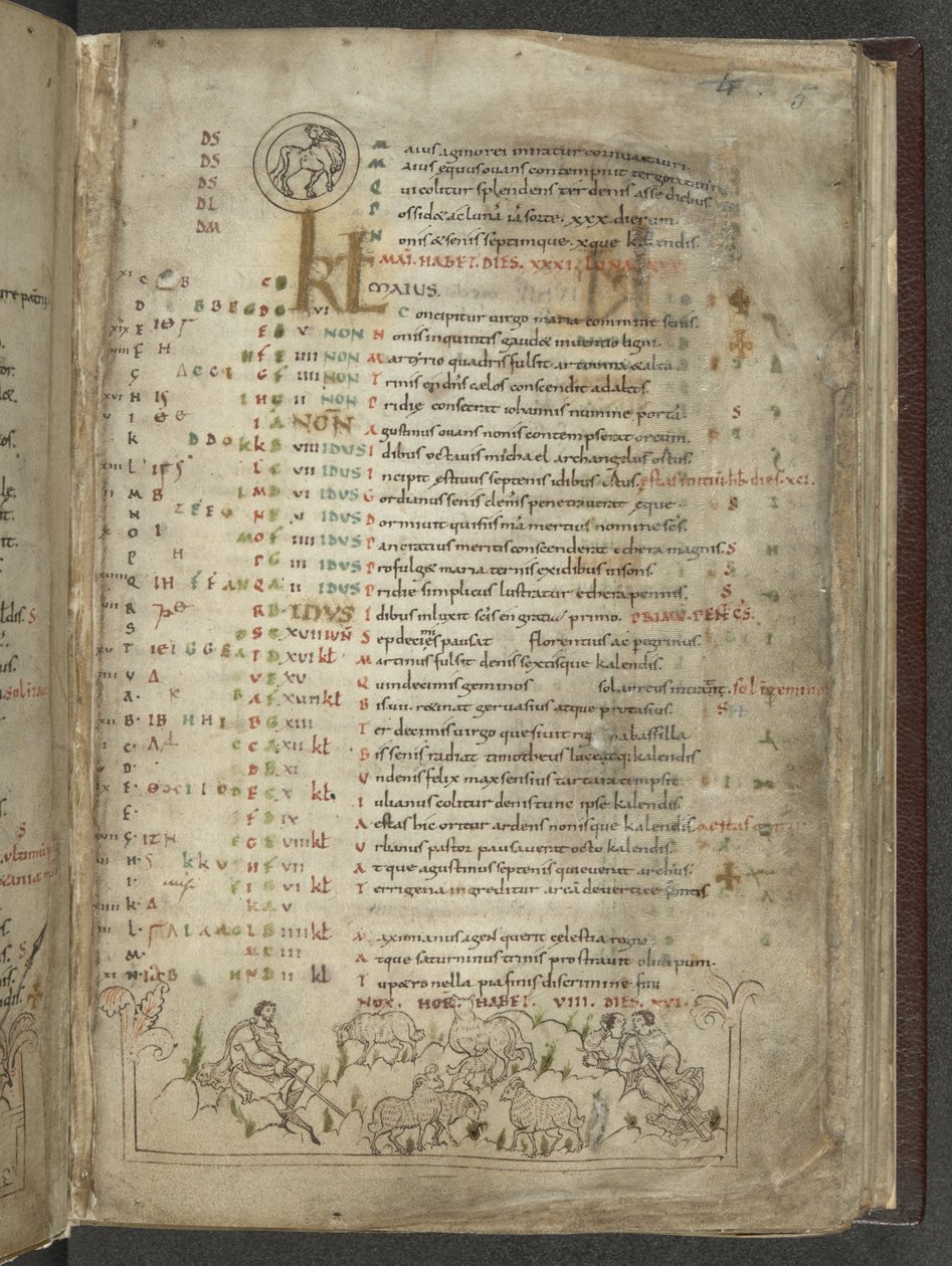 Bomuld Julius A. VI, f.5, kalenderside for maj: Hyrder og flok (vellum) af English School