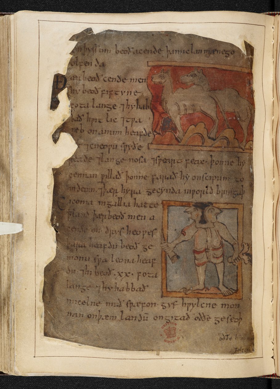 Bomuld MS Vitellius A XV f.101v, Beowulf, fra 