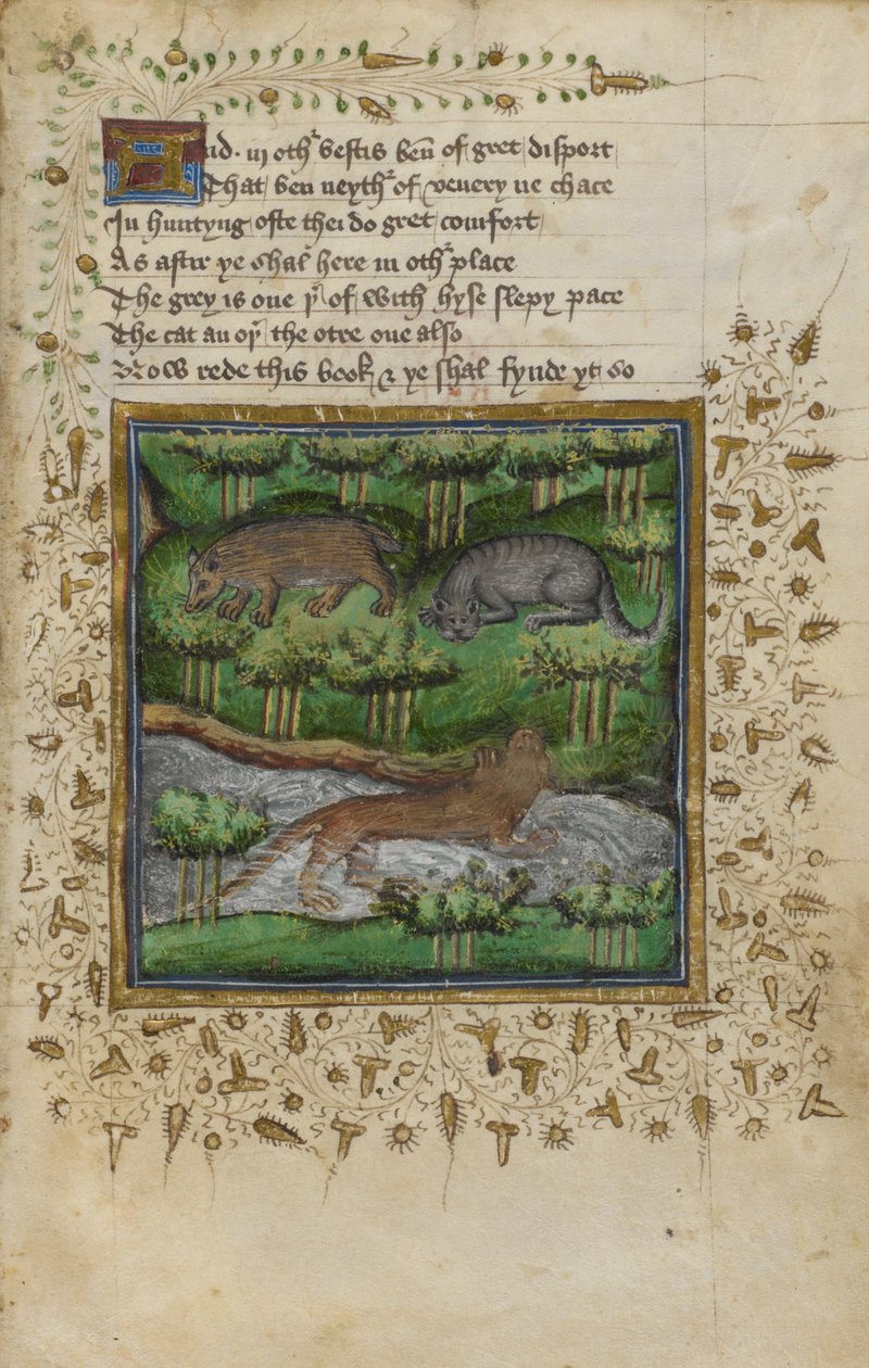 Bomuld Vespasian B. XII, f.4 Illustration af en grævling, vildkat og odder; med vers, fra en 