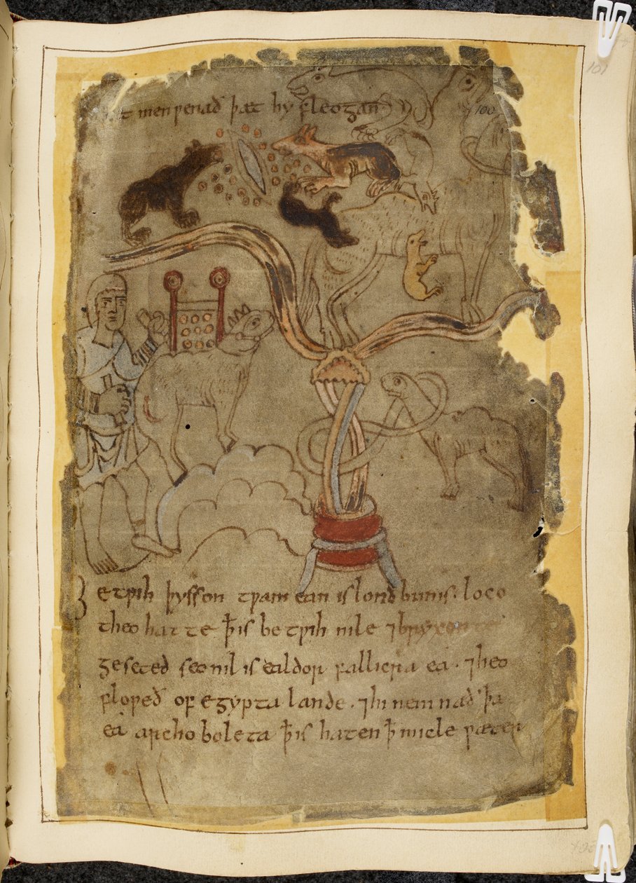 Cotton Vitellius A. XV, f.101r, Tre hundelignende myrer angriber en tøjret kamel, mand i tunika, illustration fra Beowulf, fra 