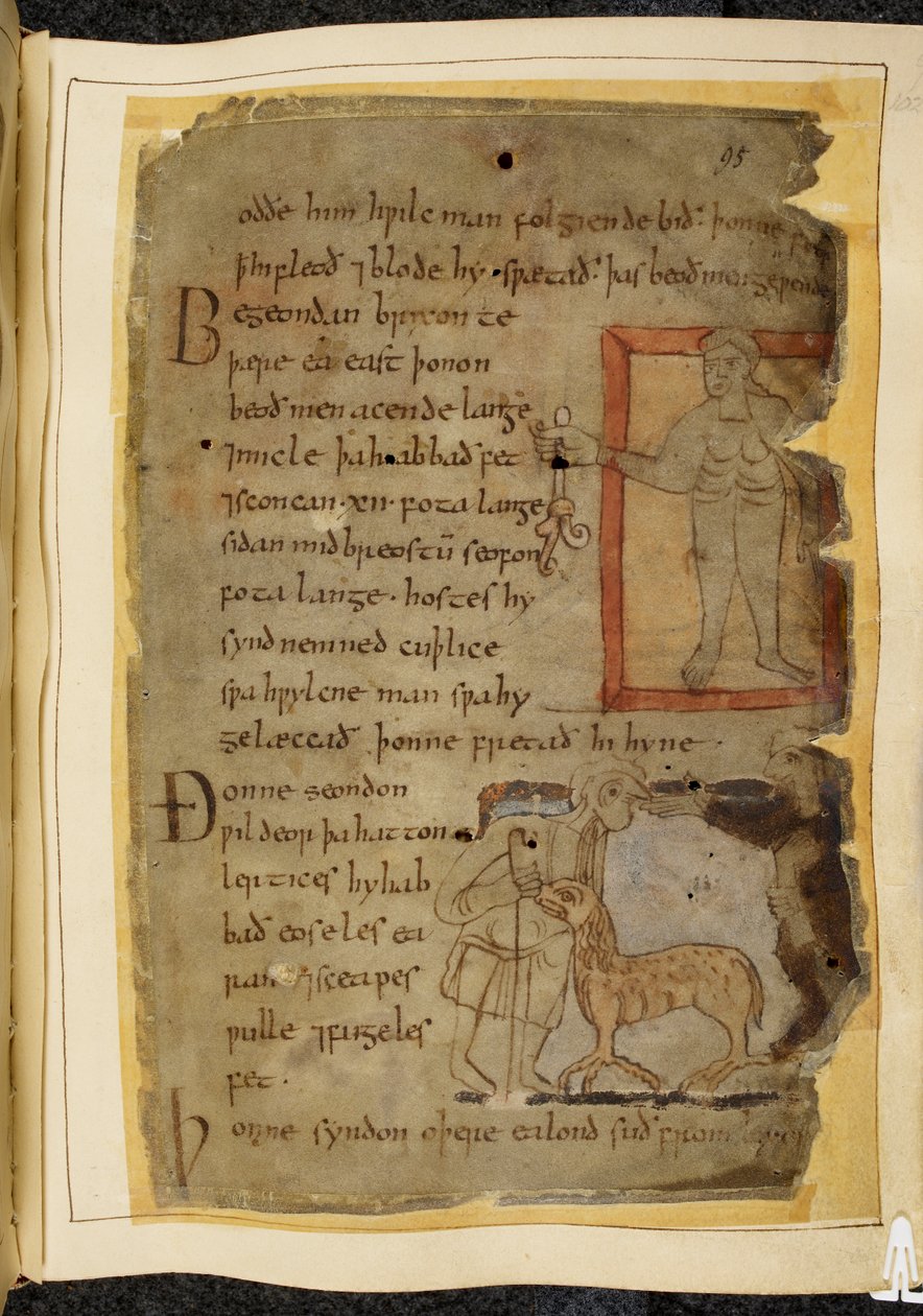 Bomuld Vitellius A. XV, f.102, En nøgen mand, der holder en plante; to mænd taler, og mellem dem en lertix, et får-lignende udyr, illustration fra Beowulf, fra 