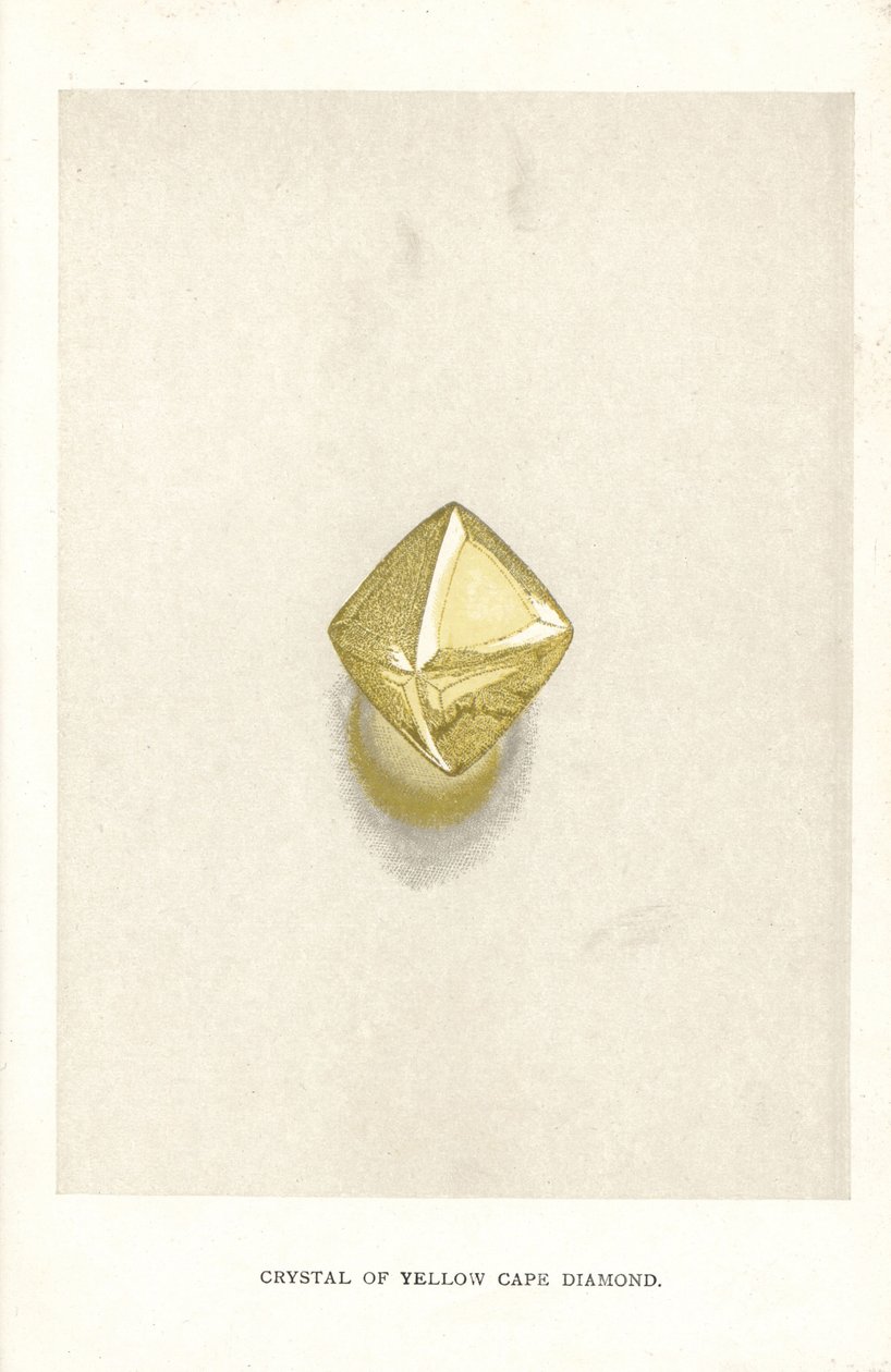 Krystal af Yellow Cape Diamond, fra Edwin Streeters "Precious Stones and Gems," London, George Bell & Sons af English School