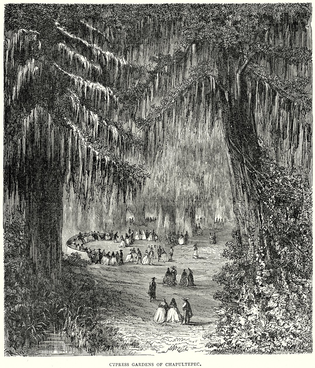 Cypress Gardens of Chapultepec (gravering) af English School