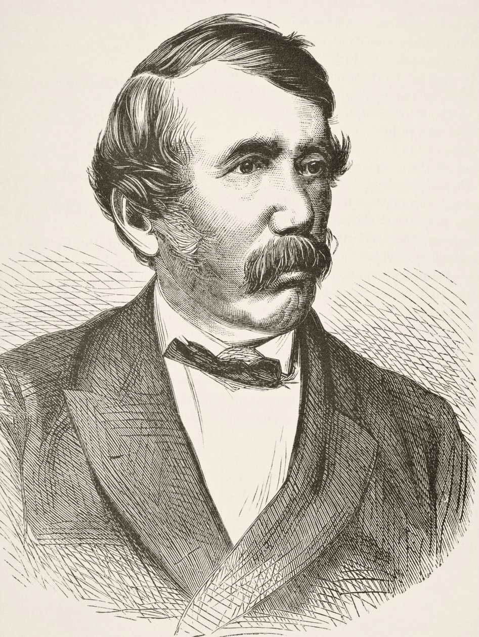David Livingstone, fra 