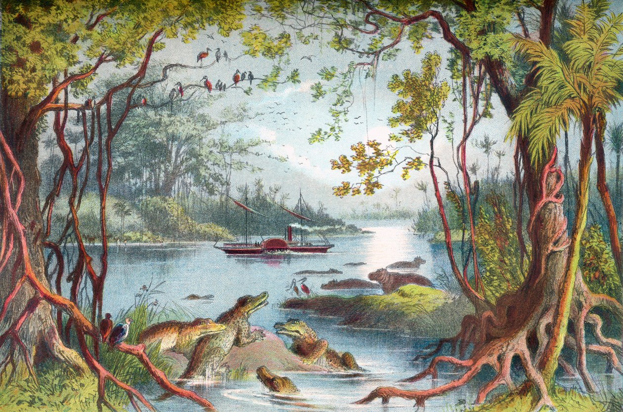 David Livingstones skib The Ma-Robert på Zambezi-floden, Afrika, under hans Zambezi-ekspedition i det 19. århundrede. Fra The Life and Explorations of Dr. Livingstone udgivet c.1875. af English School