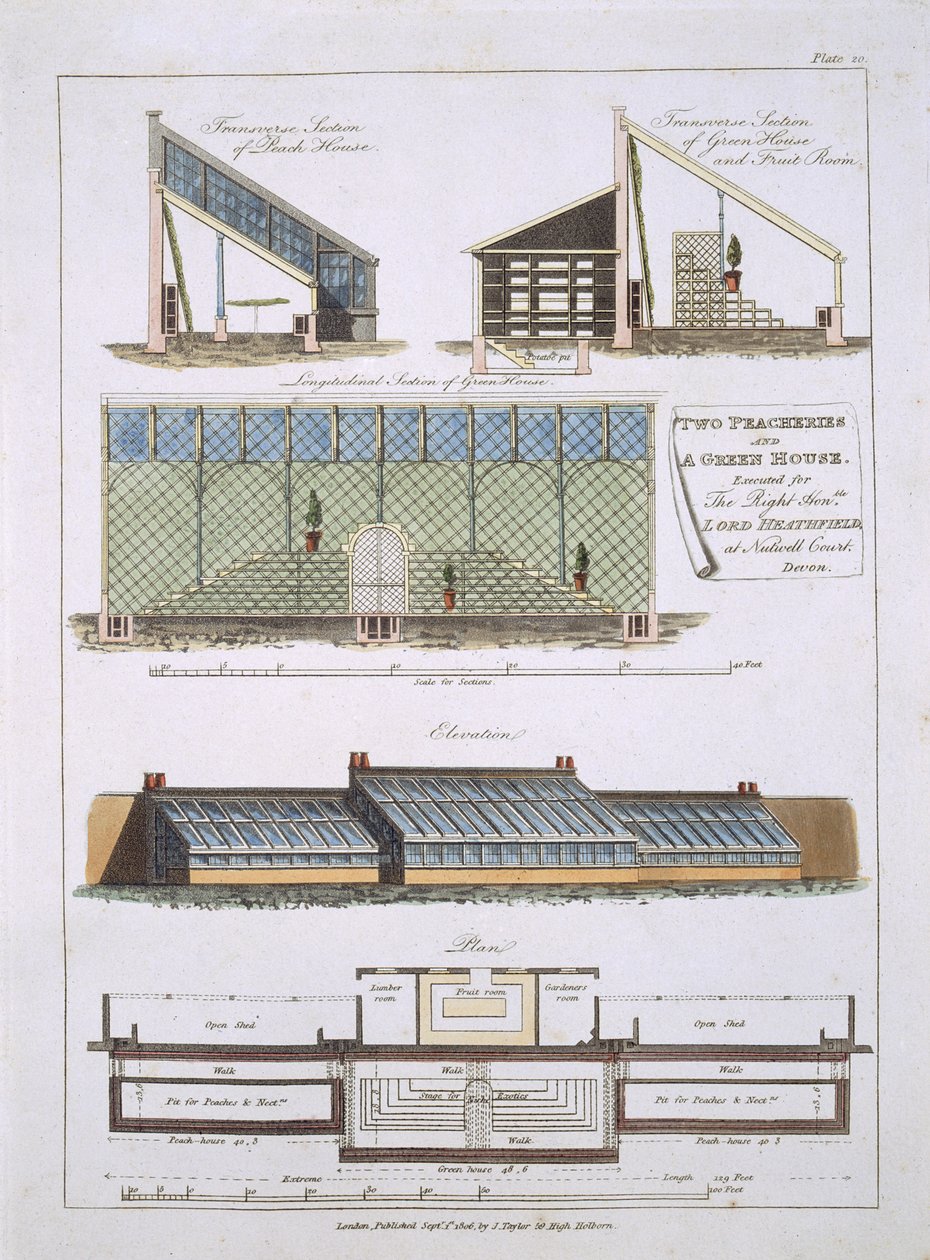 Design for Two Peacheries and a Green House, 1806 af English School