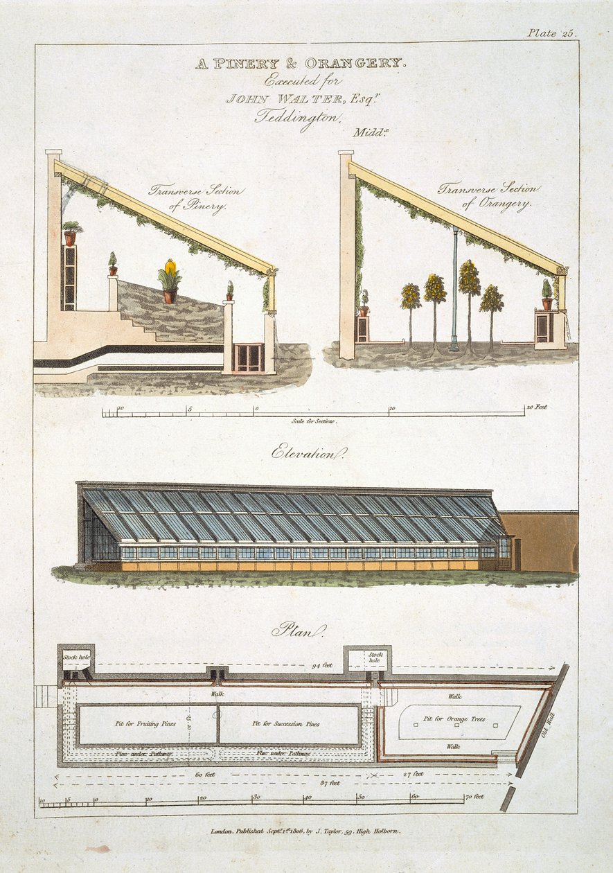 Design for et Pinery and Orangery i Teddington, 1806 af English School