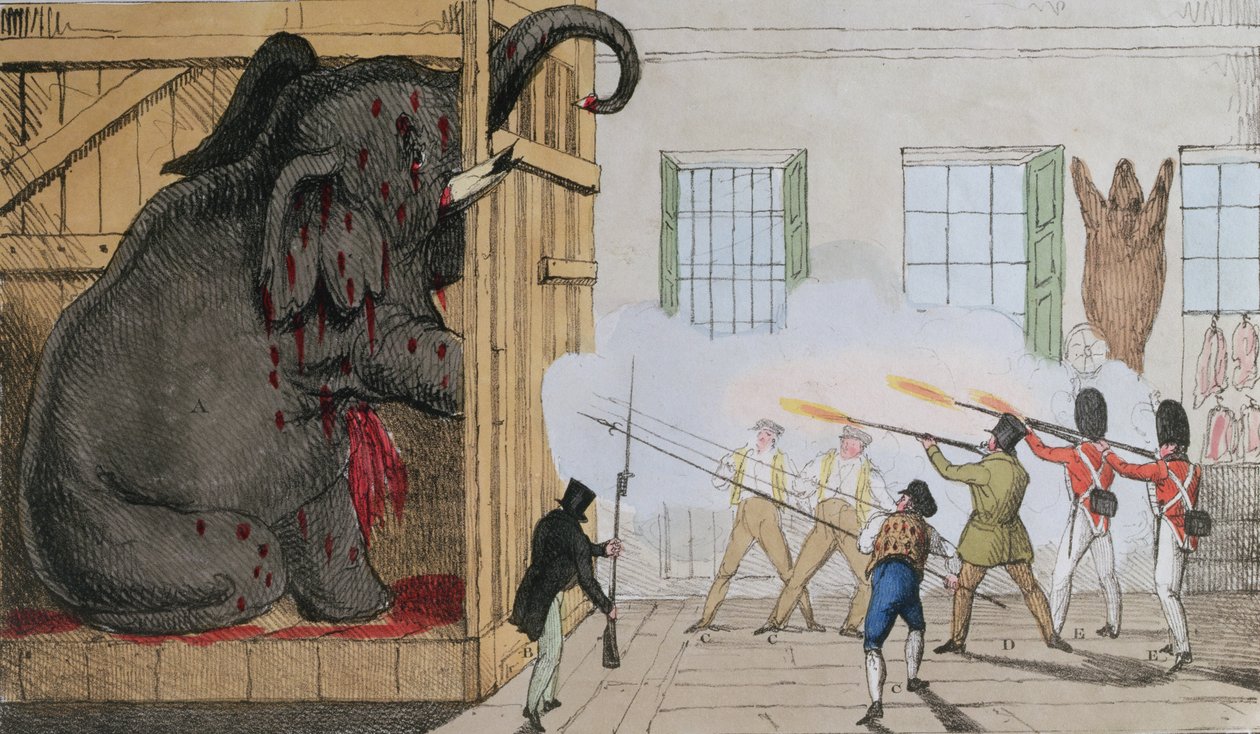 Ødelæggelse af den ædle elefant ved Mr Crosss Exeter Change, 1826 af English School