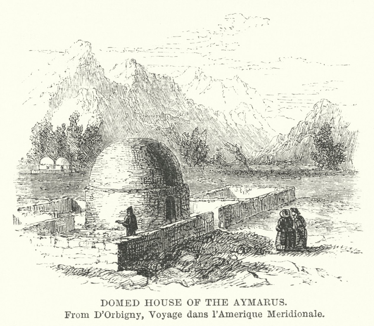Aymarus
