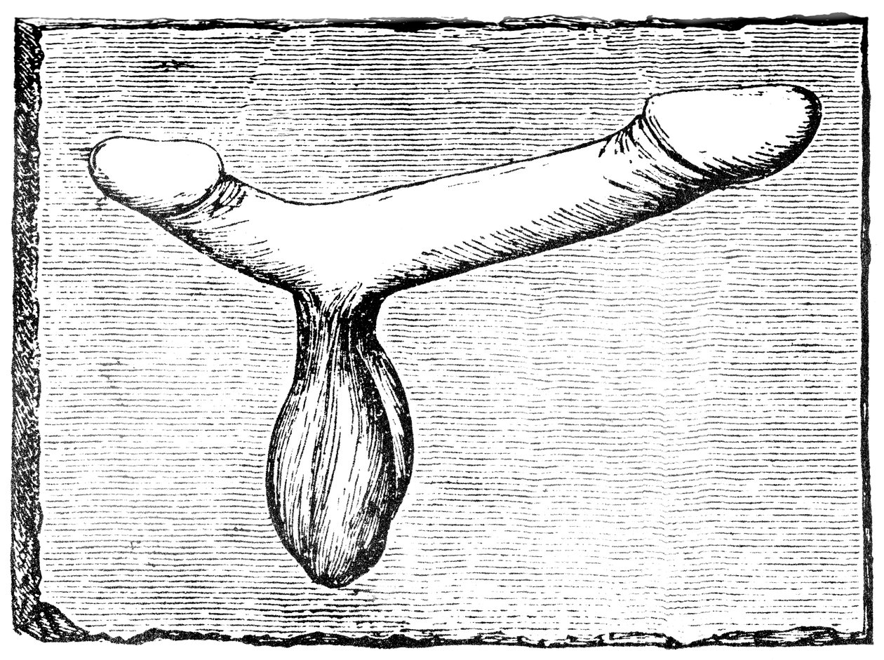 Dobbelt fallus fra overliggeren af et vomitorium (udgangspassage) ved Nimes (Colonia Nemausus) amfiteater af English School