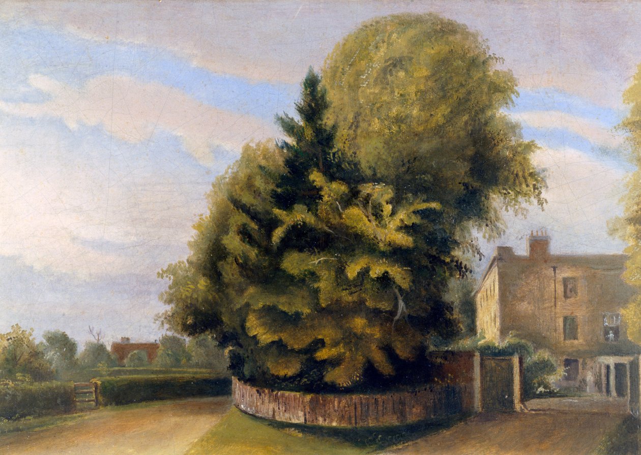 Down House from the North (olie på lærred) af English School