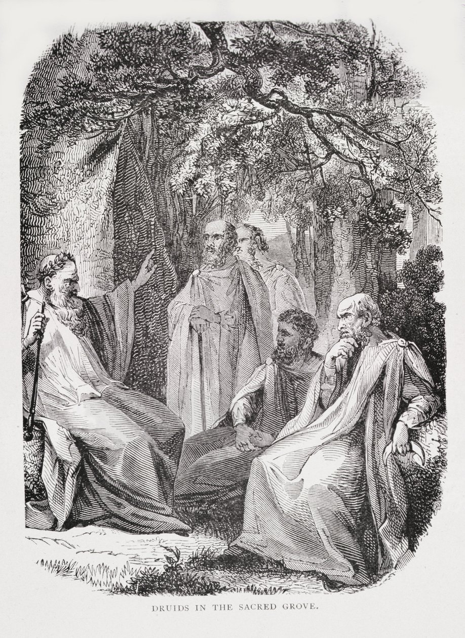 Druids in the Sacred Grove, fra The History of France, af Emile de Bonnechose, udgivet af Ward, Lock and Co, London af English School