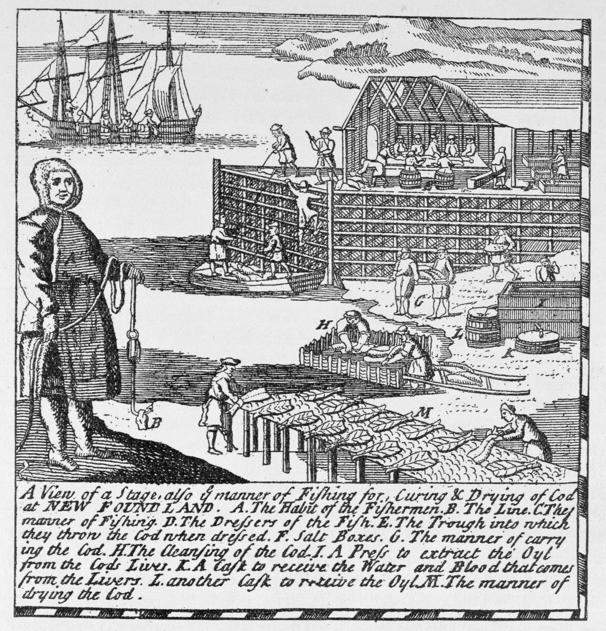 Tidlige fiskerierhverv, illustration fra bind IV af "Narrative and Critical History of America", 1886 af English School