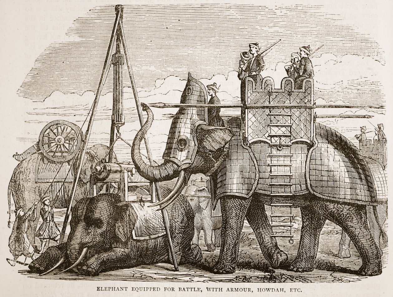 Elefant udstyret til kamp, med rustning, howdah osv., illustration fra Cassells Illustrated History of India af James Grant, pub. 1879 af English School